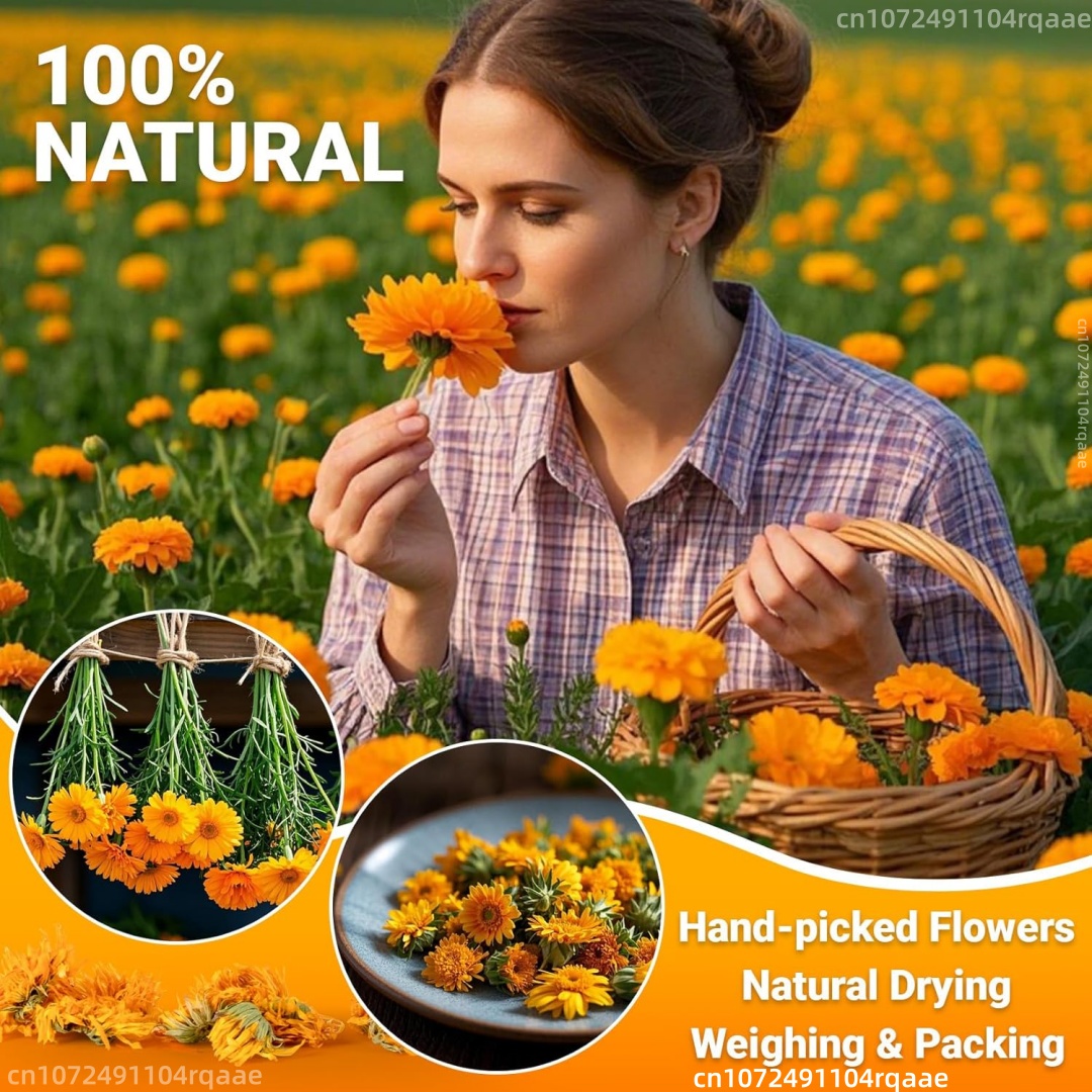زهور القطيفة المجففة الطبيعية  - مراجعة Chamomile Tea وسعره